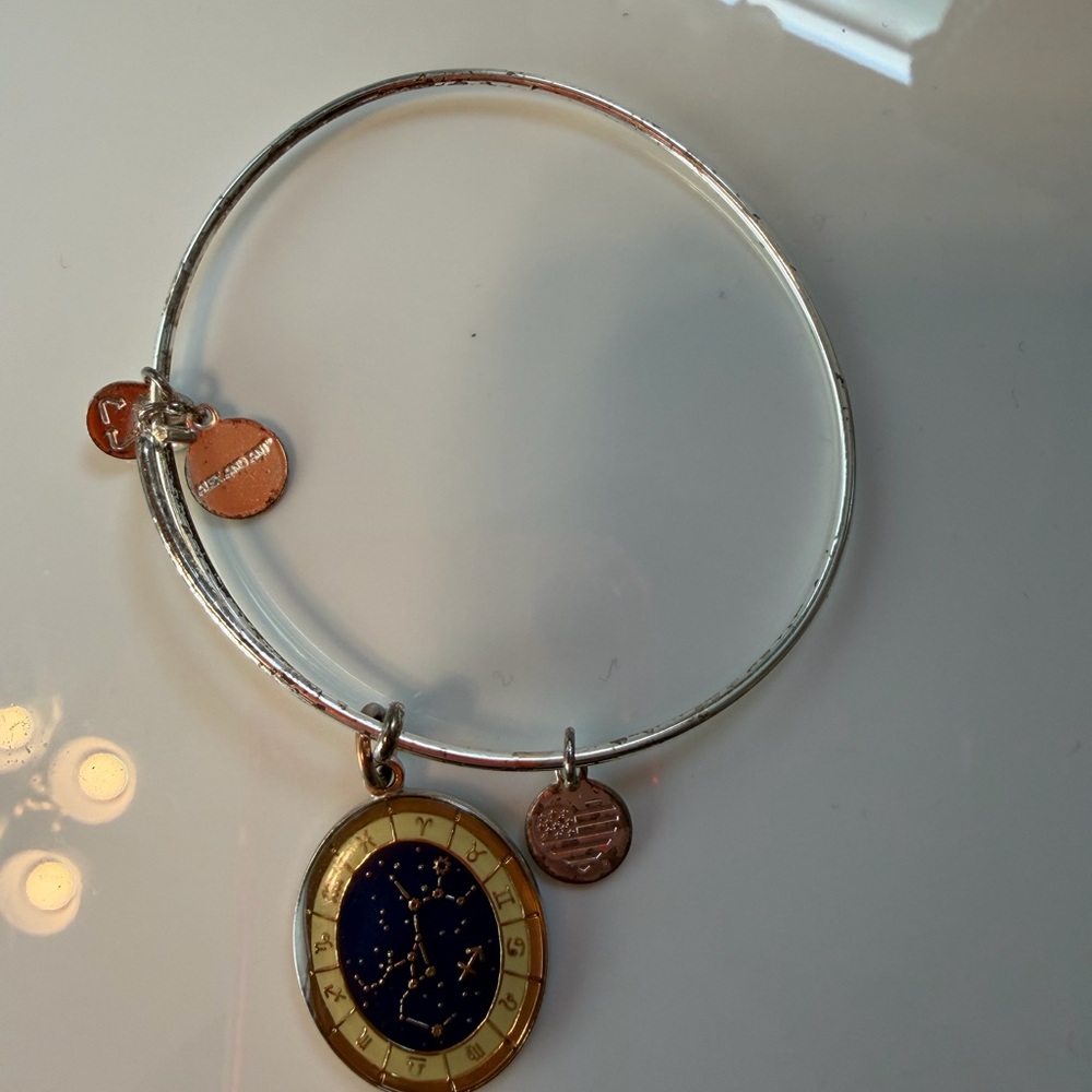 Alex and Ani Silver and Gold Sagittarius Zodiac Bangle